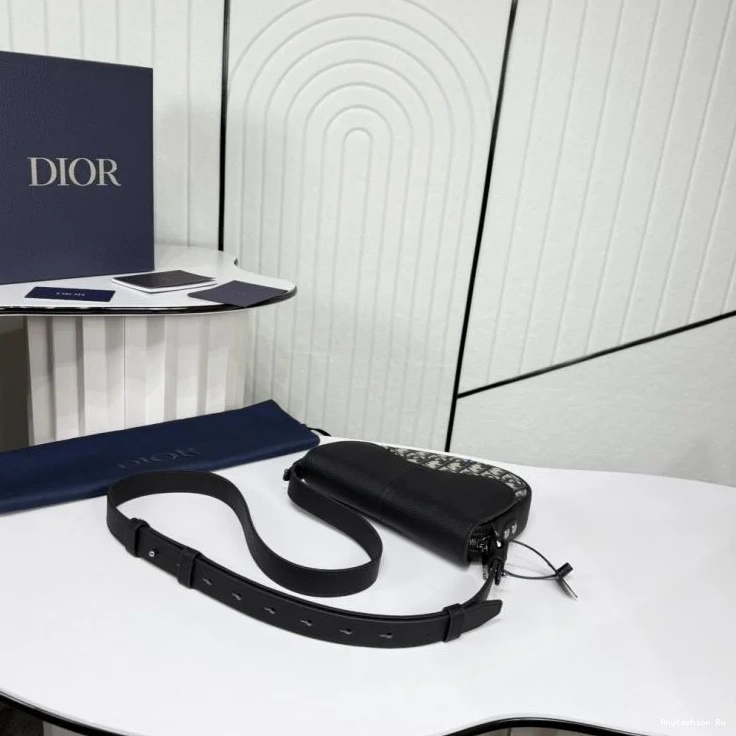 47239 bags Dior Christian Sophisticated Saddle 0823